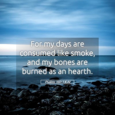 Picture 05 - Psalms 102:3 KJV - For my days are consumed like smoke, and my bones - Bible Verse Picture