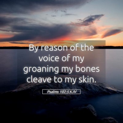 Picture 05 - Psalms 102:5 KJV - By reason of the voice of my groaning my bones - Bible Verse Picture