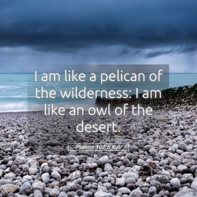 Picture 05 - Psalms 102:6 KJV - I am like a pelican of the wilderness: I am like - Bible Verse Picture