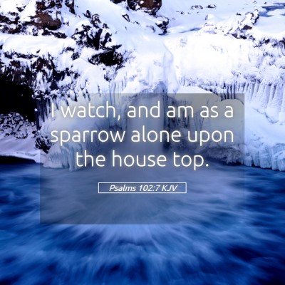 Picture 05 - Psalms 102:7 KJV - I watch, and am as a sparrow alone upon the house - Bible Verse Picture