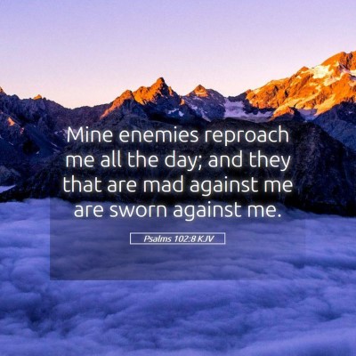 Picture 05 - Psalms 102:8 KJV - Mine enemies reproach me all the day; and they - Bible Verse Picture