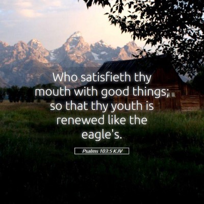 Picture 05 - Psalms 103:5 KJV - Who satisfieth thy mouth with good things; so - Bible Verse Picture