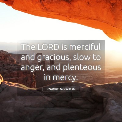 Picture 05 - Psalms 103:8 KJV - The LORD is merciful and gracious, slow to anger, - Bible Verse Picture