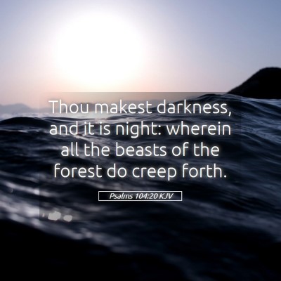 Picture 05 - Psalms 104:20 KJV - Thou makest darkness, and it is night: wherein - Bible Verse Picture