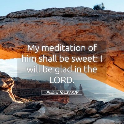 Picture 05 - Psalms 104:34 KJV - My meditation of him shall be sweet: I will be - Bible Verse Picture