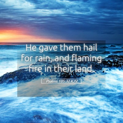 Picture 05 - Psalms 105:32 KJV - He gave them hail for rain, and flaming fire in - Bible Verse Picture