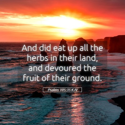 Picture 05 - Psalms 105:35 KJV - And did eat up all the herbs in their land, and - Bible Verse Picture