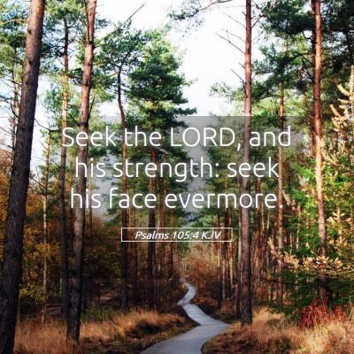 Picture 05 - Psalms 105:4 KJV - Seek the LORD, and his strength: seek his face - Bible Verse Picture