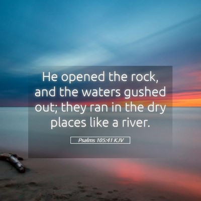 Picture 05 - Psalms 105:41 KJV - He opened the rock, and the waters gushed out; - Bible Verse Picture