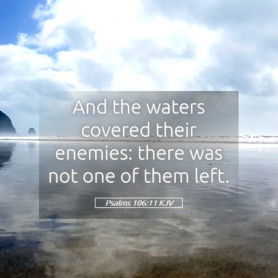 Picture 05 - Psalms 106:11 KJV - And the waters covered their enemies: there was - Bible Verse Picture
