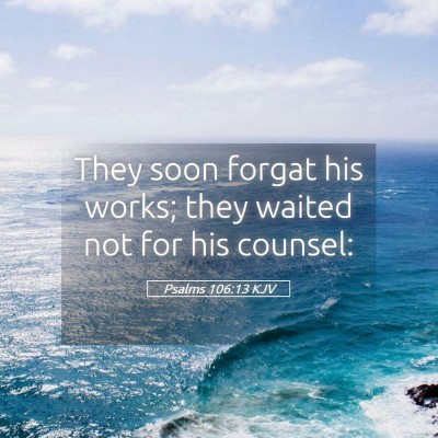 Picture 05 - Psalms 106:13 KJV - They soon forgat his works; they waited not for - Bible Verse Picture