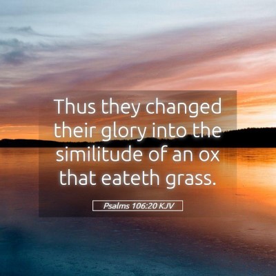Picture 05 - Psalms 106:20 KJV - Thus they changed their glory into the similitude - Bible Verse Picture