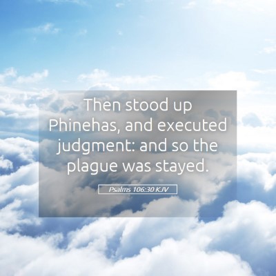 Picture 05 - Psalms 106:30 KJV - Then stood up Phinehas, and executed judgment: - Bible Verse Picture