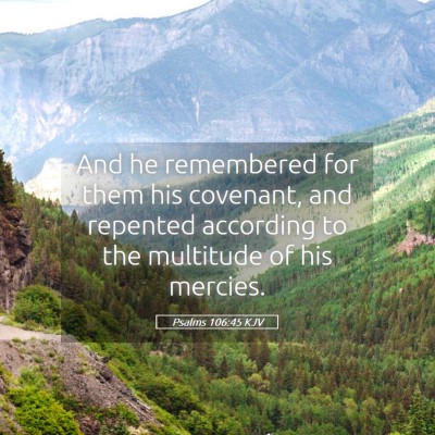 Picture 05 - Psalms 106:45 KJV - And he remembered for them his covenant, and - Bible Verse Picture