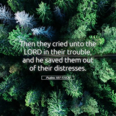 Picture 05 - Psalms 107:13 KJV - Then they cried unto the LORD in their trouble, - Bible Verse Picture