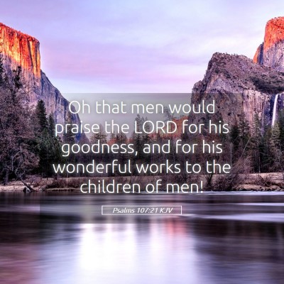 Picture 05 - Psalms 107:21 KJV - Oh that men would praise the LORD for his - Bible Verse Picture