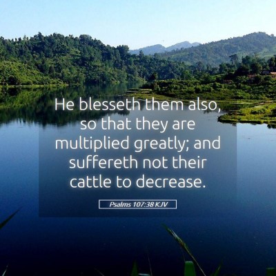 Picture 05 - Psalms 107:38 KJV - He blesseth them also, so that they are - Bible Verse Picture