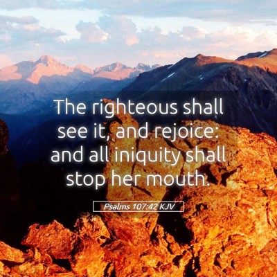 Picture 05 - Psalms 107:42 KJV - The righteous shall see it, and rejoice: and all - Bible Verse Picture