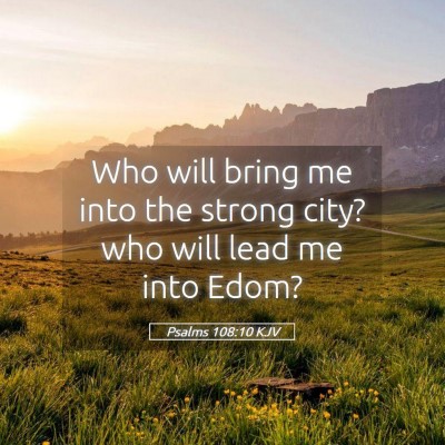 Picture 05 - Psalms 108:10 KJV - Who will bring me into the strong city? who will - Bible Verse Picture