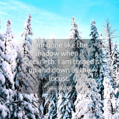 Picture 05 - Psalms 109:23 KJV - I am gone like the shadow when it declineth: I am - Bible Verse Picture