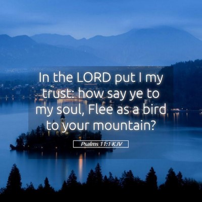 Picture 05 - Psalms 11:1 KJV - In the LORD put I my trust: how say ye to my - Bible Verse Picture