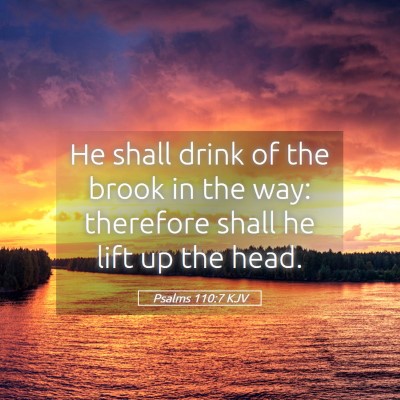 Picture 05 - Psalms 110:7 KJV - He shall drink of the brook in the way: therefore - Bible Verse Picture