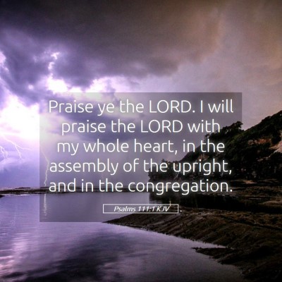 Picture 05 - Psalms 111:1 KJV - Praise ye the LORD. I will praise the LORD with - Bible Verse Picture