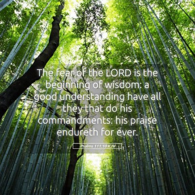 Picture 05 - Psalms 111:10 KJV - The fear of the LORD is the beginning of wisdom: - Bible Verse Picture