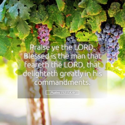 Picture 05 - Psalms 112:1 KJV - Praise ye the LORD. Blessed is the man that - Bible Verse Picture