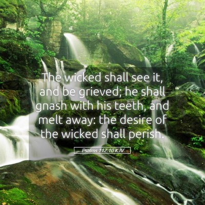 Picture 05 - Psalms 112:10 KJV - The wicked shall see it, and be grieved; he shall - Bible Verse Picture