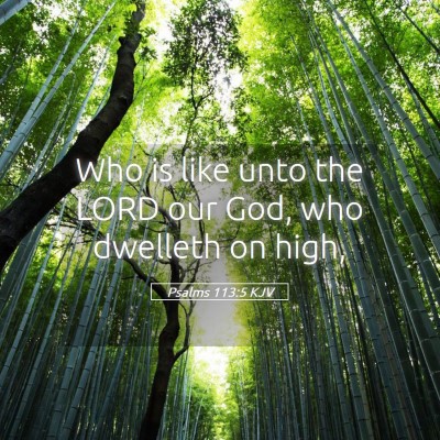 Picture 05 - Psalms 113:5 KJV - Who is like unto the LORD our God, who dwelleth - Bible Verse Picture