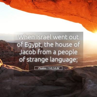Picture 05 - Psalms 114:1 KJV - When Israel went out of Egypt, the house of Jacob - Bible Verse Picture
