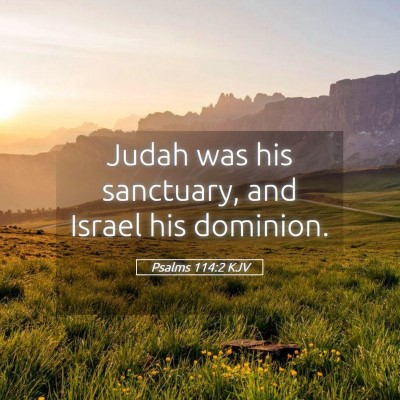 Picture 05 - Psalms 114:2 KJV - Judah was his sanctuary, and Israel his - Bible Verse Picture
