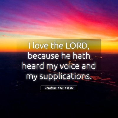 Picture 05 - Psalms 116:1 KJV - I love the LORD, because he hath heard my voice - Bible Verse Picture