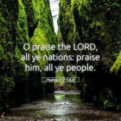 Picture 05 - Psalms 117:1 KJV - O praise the LORD, all ye nations: praise him, - Bible Verse Picture