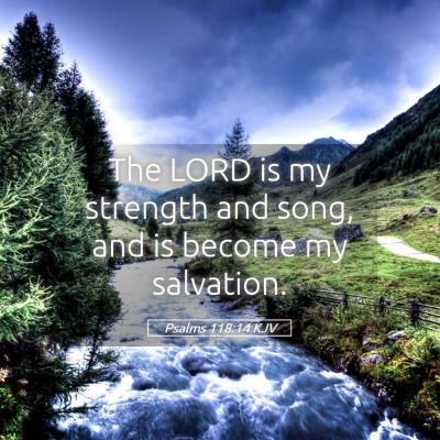 Picture 05 - Psalms 118:14 KJV - The LORD is my strength and song, and is become - Bible Verse Picture