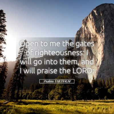 Picture 05 - Psalms 118:19 KJV - Open to me the gates of righteousness: I will go - Bible Verse Picture