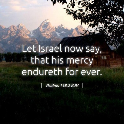 Picture 05 - Psalms 118:2 KJV - Let Israel now say, that his mercy endureth for - Bible Verse Picture