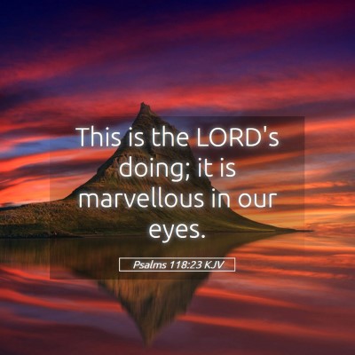 Picture 05 - Psalms 118:23 KJV - This is the LORD's doing; it is marvellous in our - Bible Verse Picture