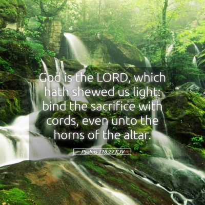Picture 05 - Psalms 118:27 KJV - God is the LORD, which hath shewed us light: bind - Bible Verse Picture