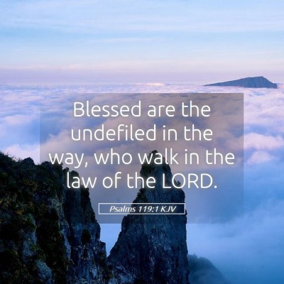 Picture 05 - Psalms 119:1 KJV - Blessed are the undefiled in the way, who walk in - Bible Verse Picture
