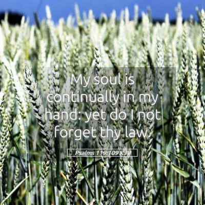 Picture 05 - Psalms 119:109 KJV - My soul is continually in my hand: yet do I not - Bible Verse Picture