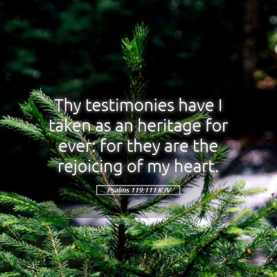 Picture 05 - Psalms 119:111 KJV - Thy testimonies have I taken as an heritage for - Bible Verse Picture