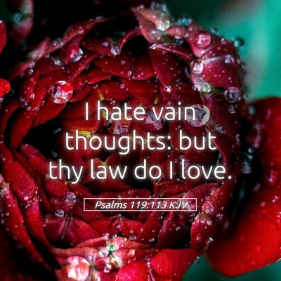 Picture 05 - Psalms 119:113 KJV - I hate vain thoughts: but thy law do I - Bible Verse Picture