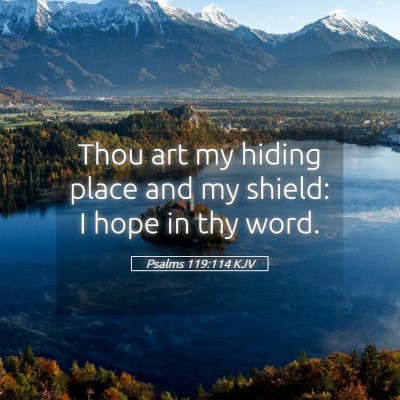 Picture 05 - Psalms 119:114 KJV - Thou art my hiding place and my shield: I hope in - Bible Verse Picture