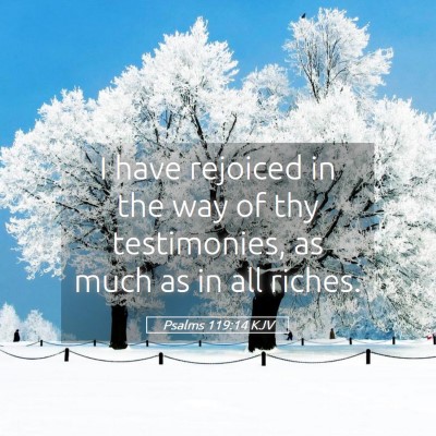 Picture 05 - Psalms 119:14 KJV - I have rejoiced in the way of thy testimonies, as - Bible Verse Picture
