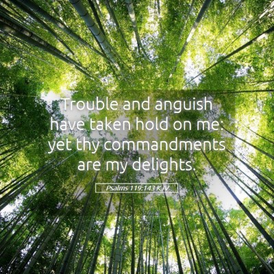 Picture 05 - Psalms 119:143 KJV - Trouble and anguish have taken hold on me: yet - Bible Verse Picture