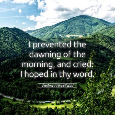 Picture 05 - Psalms 119:147 KJV - I prevented the dawning of the morning, and - Bible Verse Picture