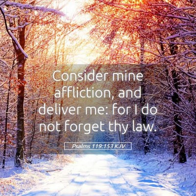 Picture 05 - Psalms 119:153 KJV - Consider mine affliction, and deliver me: for I - Bible Verse Picture