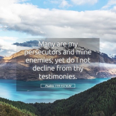 Picture 05 - Psalms 119:157 KJV - Many are my persecutors and mine enemies; yet do - Bible Verse Picture